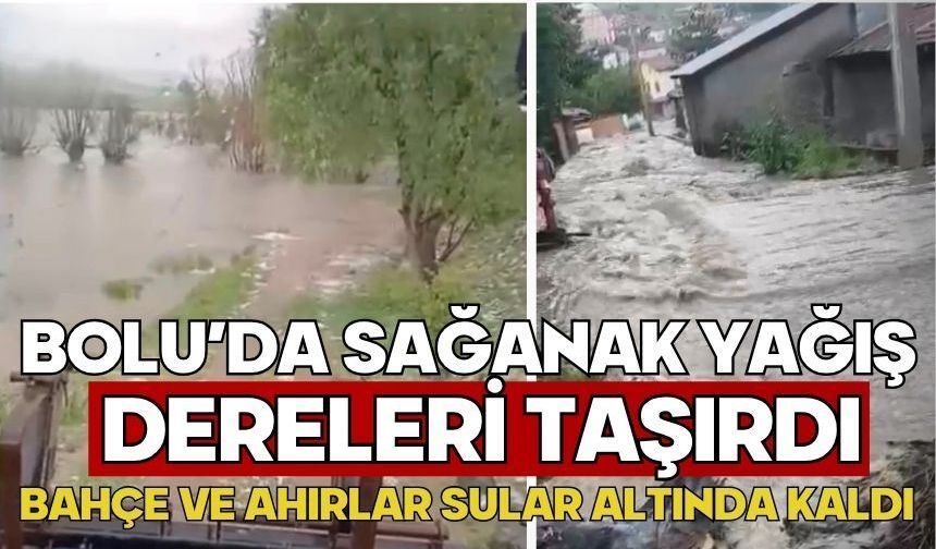 Bolu’da sağanak yağış dereleri taşırdı: Bahçe ve ahırlar sular altında kaldı