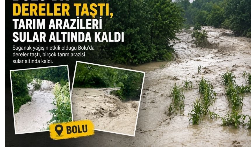 Bolu'da taşan dereler arazileri mahvetti