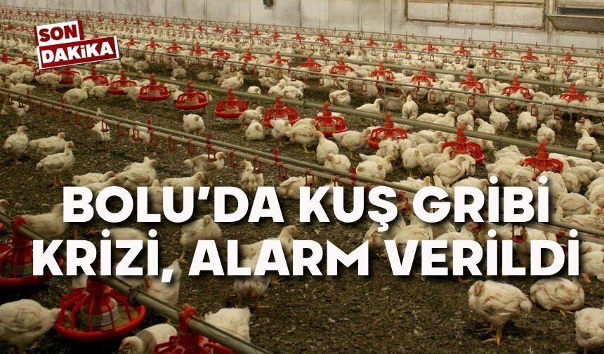 Bolu'da kuş gribi krizi, alarma geçildi