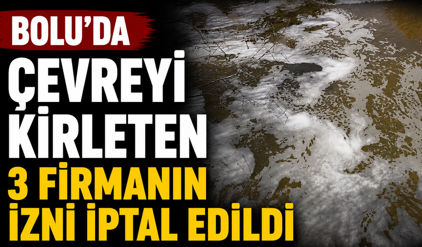 Bolu'da Çevreyi Kirleten 3 Firmanın İzni İptal Edildi