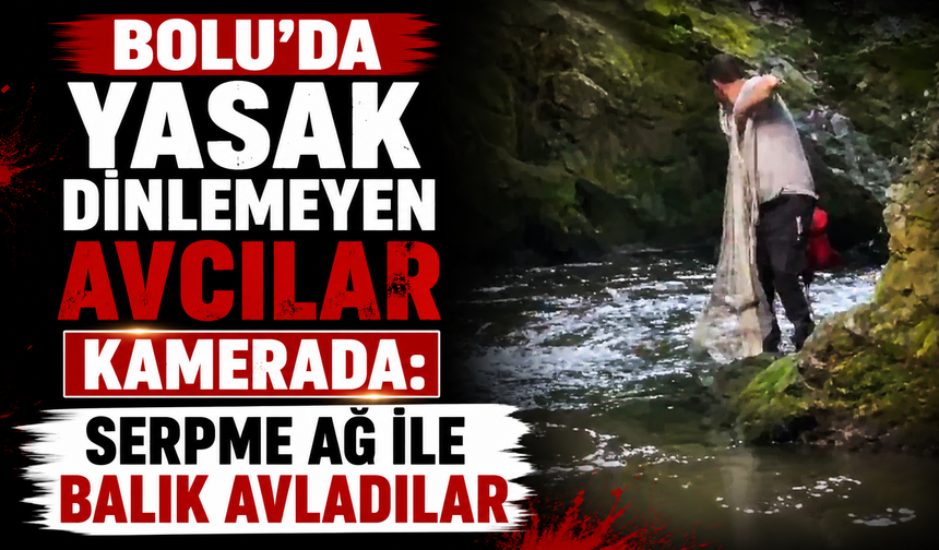 Bolu'da yasak dinlemeyen avcılar kamerada
