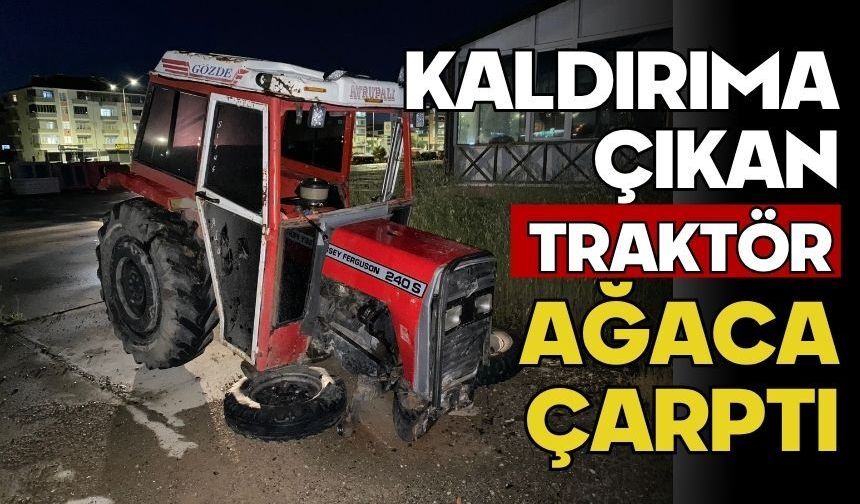 Kaldırıma çıkan traktör ağaca çarptı