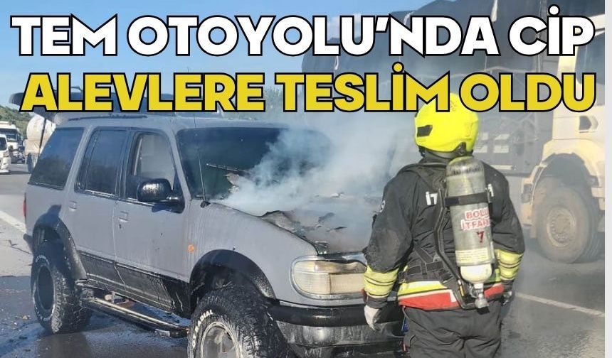 TEM Otoyolu’nda cip alevlere teslim oldu
