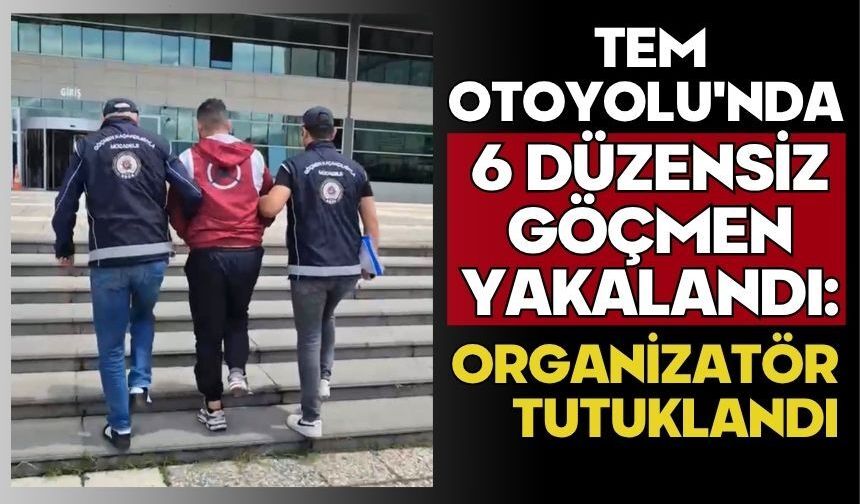 TEM Otoyolu'nda 6 düzensiz göçmen yakalandı: Organizatör tutuklandı