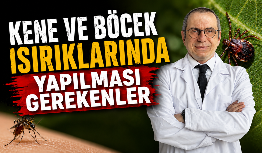 Kene ve böcek ısırıklarında yapılması gerekenler