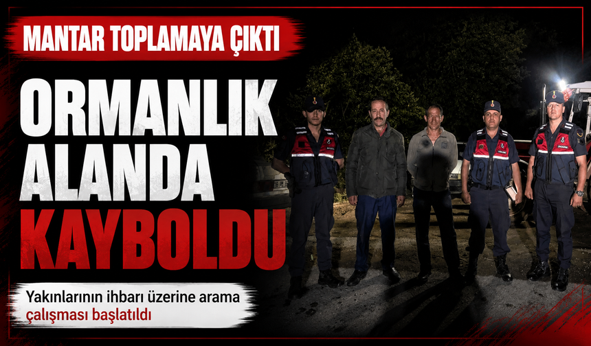 Mantar toplamaya çıktı, ormanlık alanda kayboldu
