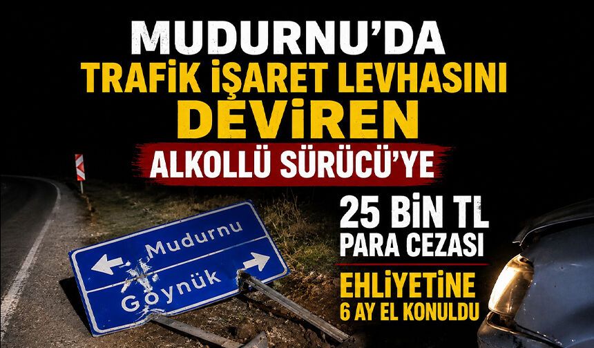 Mudurnu'da Alkollü Sürücü Kaçamadı: 25 Bin TL Ceza
