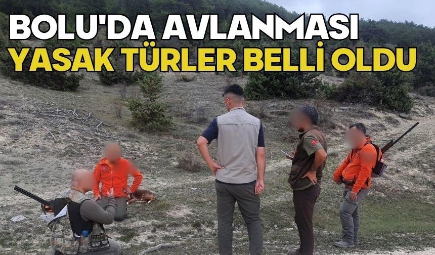 Bolu'da avlanması yasak türler belli oldu