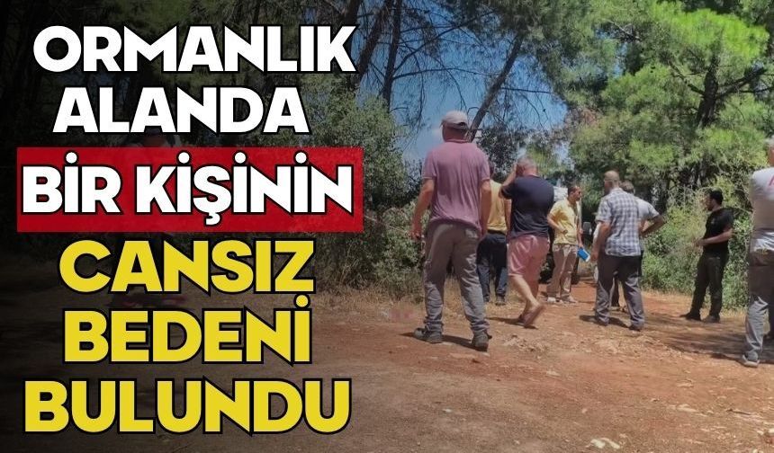 Ormanlık alanda bir kişinin cansız bedeni bulundu