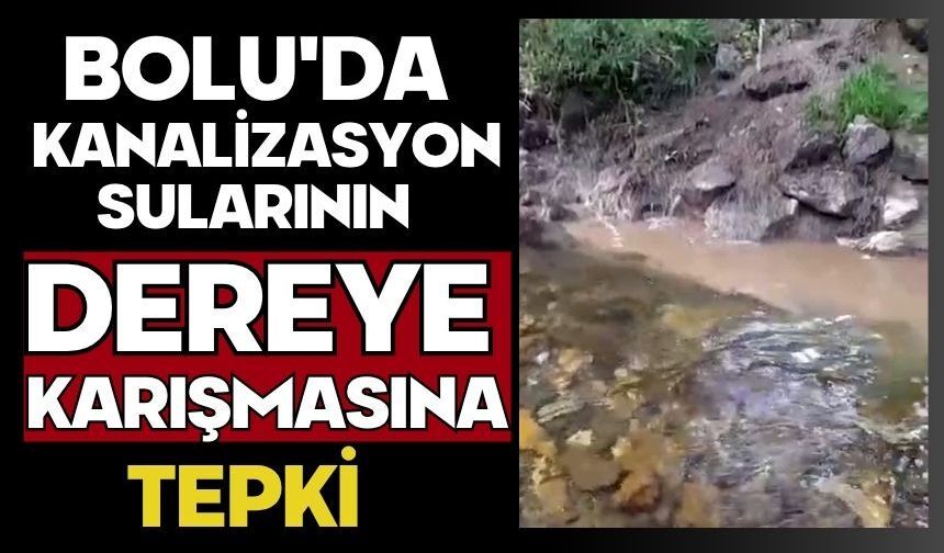 Bolu'da kanalizasyon sularının dereye karışmasına tepki