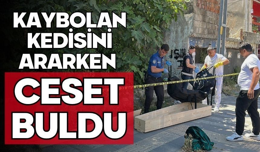 Kaybolan kedisini ararken ceset buldu