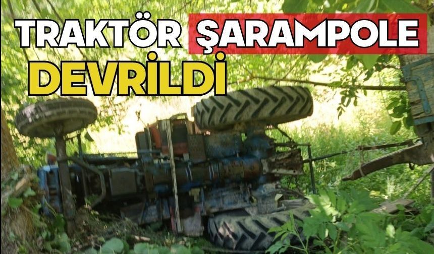 Traktör şarampole devrildi