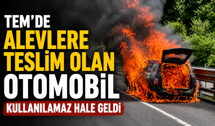 TEM'de alevlere teslim olan otomobil kullanılamaz hale geldi
