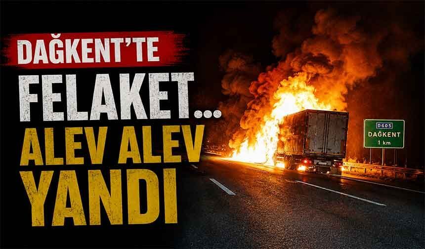 Bolu'da tır alev topuna döndü