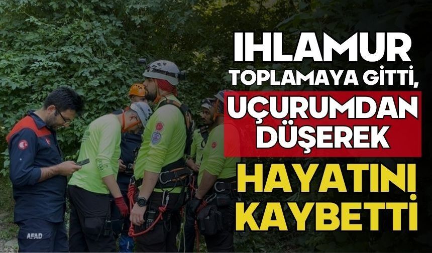 Ihlamur toplamaya gitti, uçurumdan düşerek hayatını kaybetti