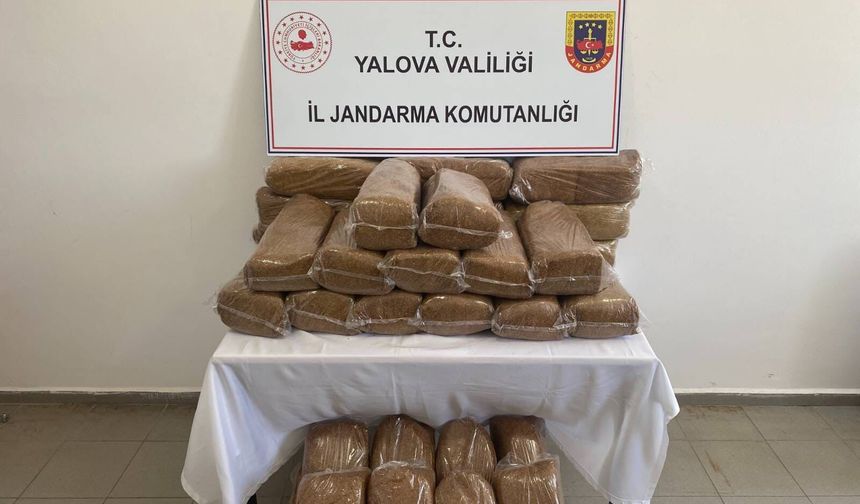 Yalova'da 160 kilo kaçak tütün ele geçirildi