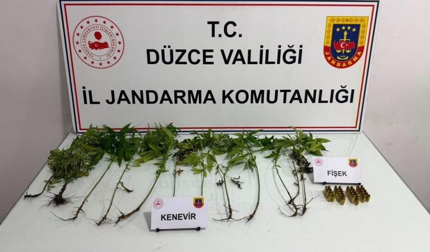Düzce'de jandarmadan uyuşturucu operasyonu
