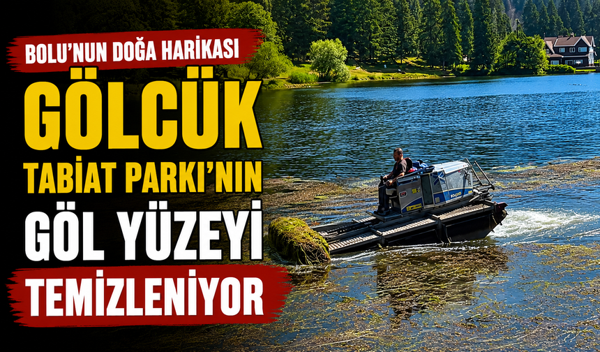 Bolu'nun doğa harikası Gölcük Tabiat Parkı'nın göl yüzeyi temizleniyor
