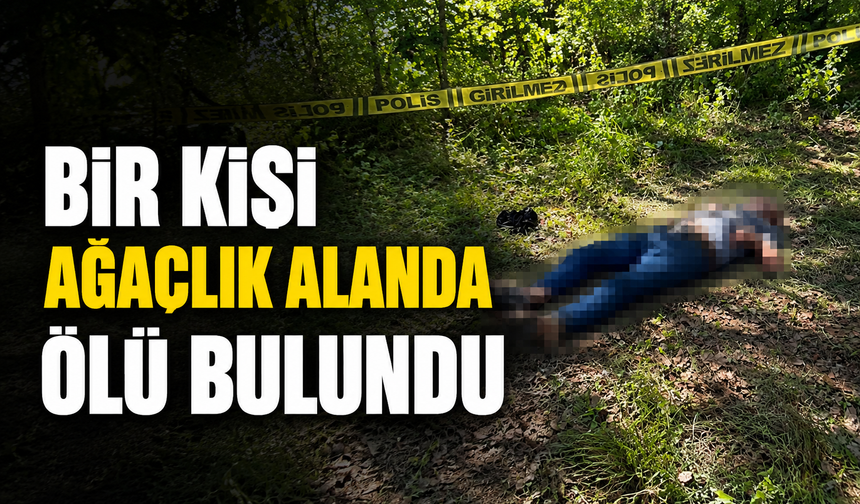 Bir kişi ağaçlık alanda ölü bulundu