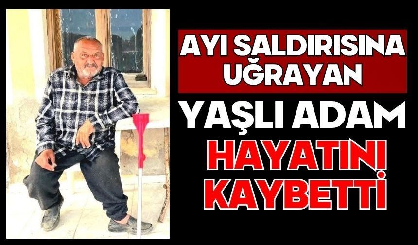 Ayı saldırısına uğrayan yaşlı adam hayatını kaybetti