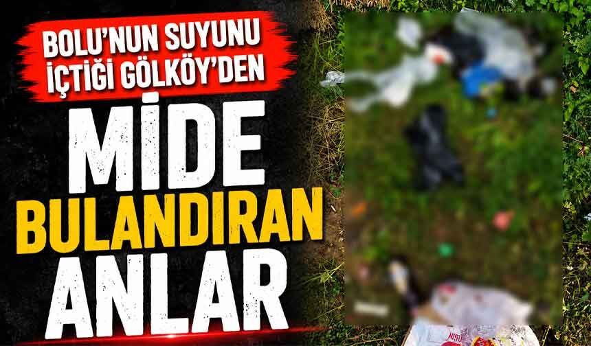Bolu'nun su içtiği Gölköy'de mide bulandıran anlar