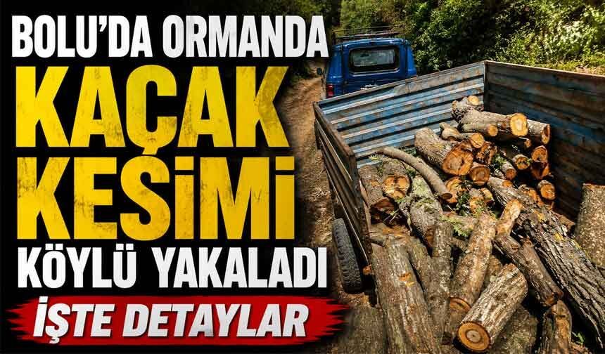 Bolu'da, kaçak kesime köylü müdahale etti