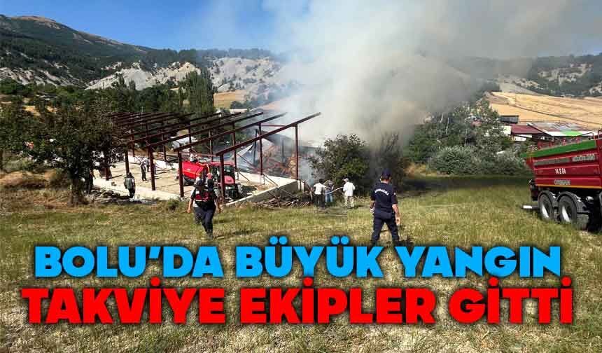 Bolu'da büyük yangına takviye gitti