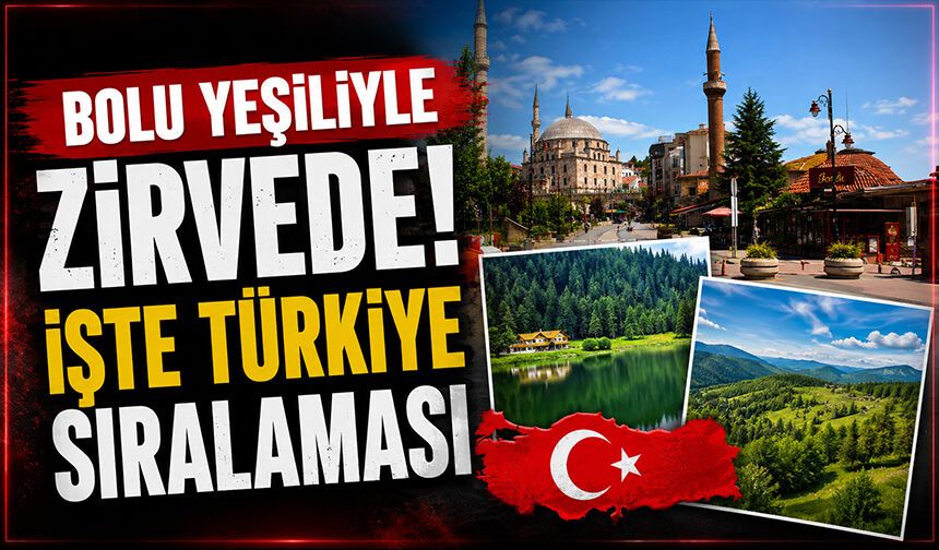 Bolu Yeşiliyle Zirvede! İşte Türkiye Sıralaması