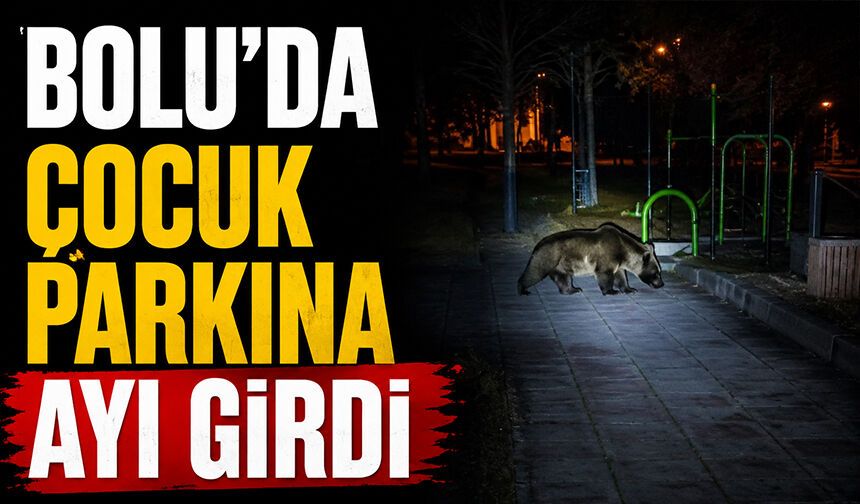 Bolu'da çocuk parkına ayı girdi