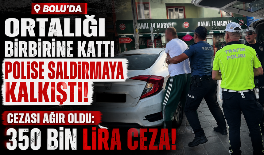 BOLU'DA ORTALIĞI KARIŞTIRDI! Polise Saldırmaya Kalkıştı, 350 Bin Lira Ceza Yedi