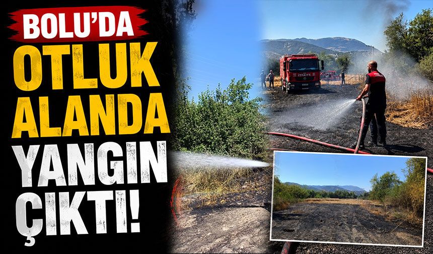 Bolu'da otluk alanda yangın çıktı