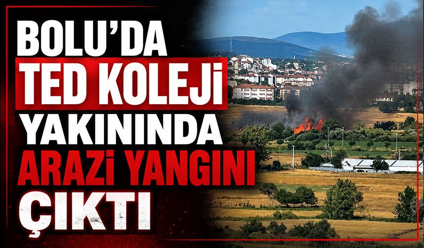 Bolu'da TED Koleji Yakınında Arazi Yangını Çıktı
