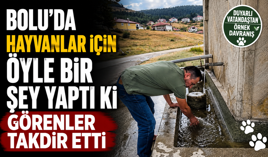 Bolu'da hayvanlar için öyle bir şey yaptı ki görenler takdir etti