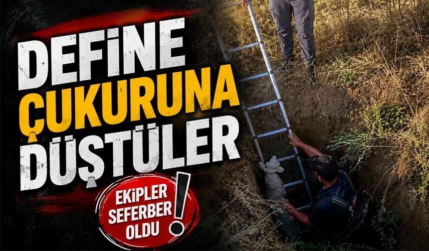 Define için açılan çukura düştüler