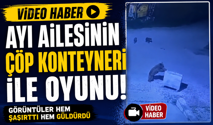 Ayı ailesinin çöp konteyneri ile oyunu