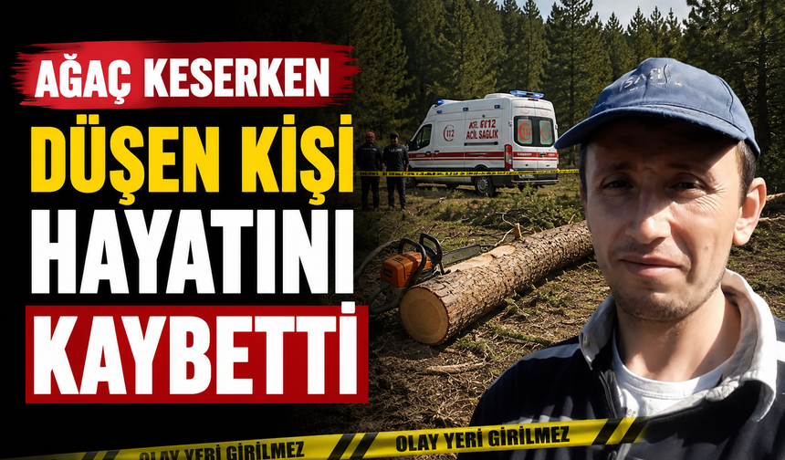 Ağaç keserken düşen kişi hayatını kaybetti