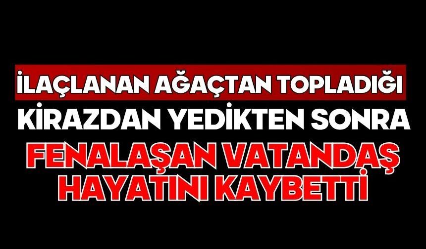 İlaçlanan ağaçtan topladığı kirazdan yedikten sonra fenalaşan vatandaş hayatını kaybetti