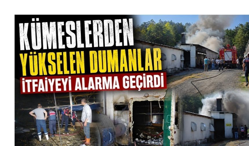 KÜMESLERDEN YÜKSELEN DUMANLAR İTFAİYEYİ ALARMA GEÇİRDİ