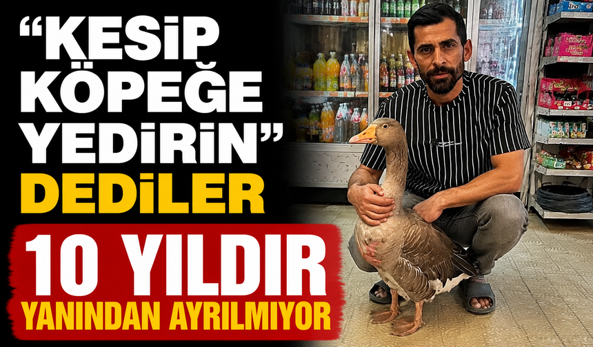 "Kesip köpeğe yedirin" dediler 10 yıldır yanından ayrılmıyor
