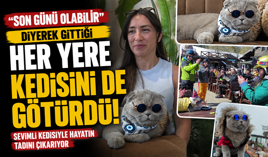 Veterinerlerin "yaşamaz" dediği kedi, denizde yüzdü, Uludağ'da kayak keyfi yaptı