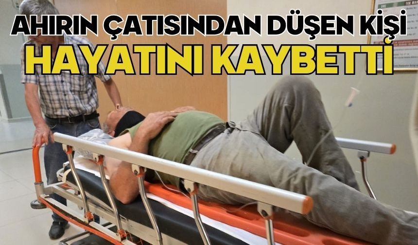 Ahırın çatısından düşen kişi hayatını kaybetti