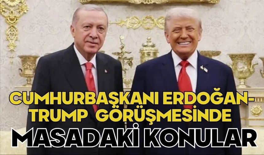 Cumhurbaşkanı Erdoğan-Trump görüşmesinde masadaki konular