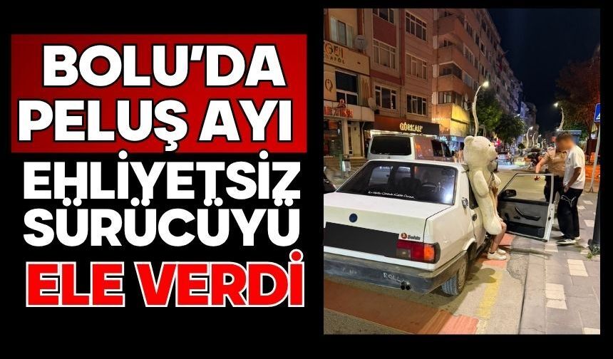 Bolu'da peluş ayı ehliyetsiz sürücüyü ele verdi