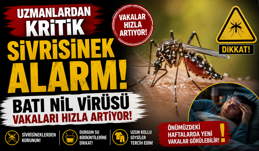 Uzmanlardan kritik sivrisinek alarmı: Batı Nil virüsü vakaları hızla artıyor!