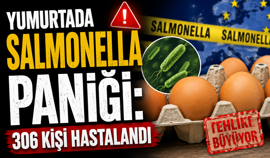 Yumurtada Salmonella Paniği: 306 Kişi Hastalandı