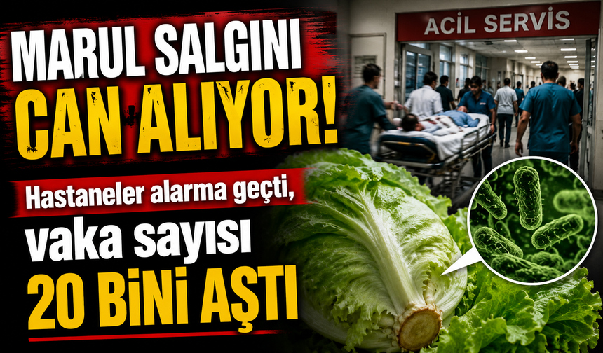 Marul salgını can alıyor! Hastaneler alarma geçti, vaka sayısı 20 bini aştı