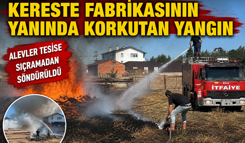 Bolu’da kereste fabrikasının yanında korkutan yangın