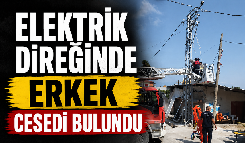 Elektrik direğinde erkek cesedi bulundu