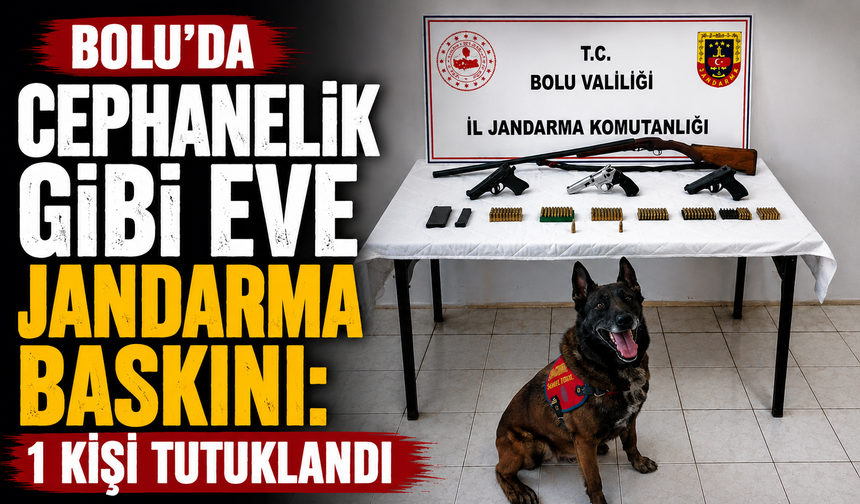 Bolu’da jandarmadan silah operasyonu: 1 kişi tutuklandı