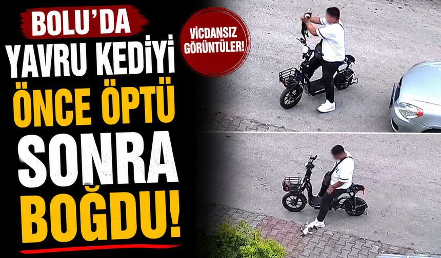 Bolu'da yavru kediyi önce öptü, sonra boğdu
